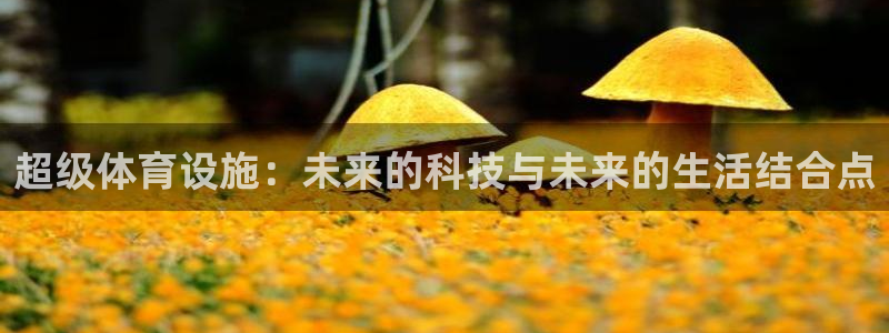 凯捷集团官网：超级体育设施：未来的科技与未来的生活结