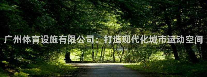 凯捷体育平台注册：广州体育设施有限公司：打造现代化城