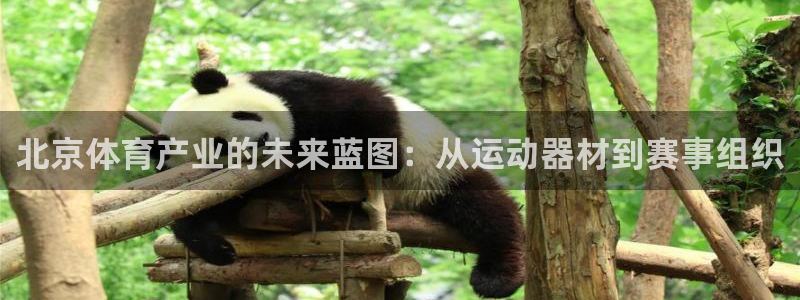 凯捷体育平台：北京体育产业的未来蓝图：从运动器材到赛