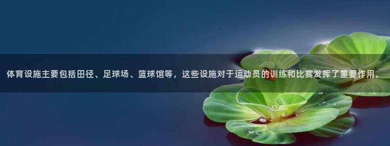 凯捷体育开户