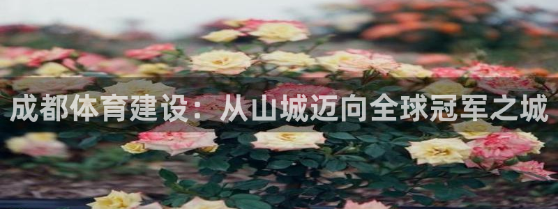 凯捷平台体育：成都体育建设：从山城迈向全球冠军之城