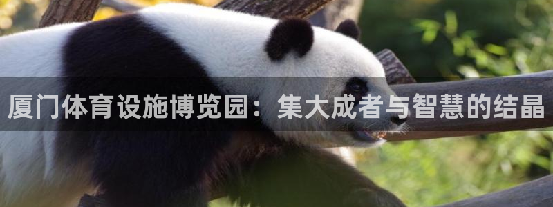 凯捷体育集团官网首页网址：厦门体育设施博览园：集大成