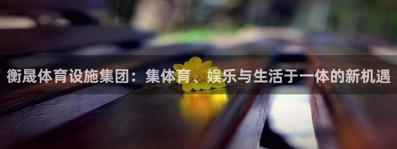 凯捷体育娱乐：衡晟体育设施集团：集体育、娱乐与生活于