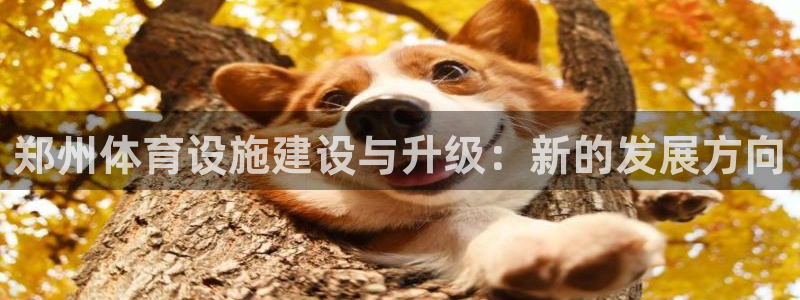 凯捷体育集团：郑州体育设施建设与升级：新的发展方向