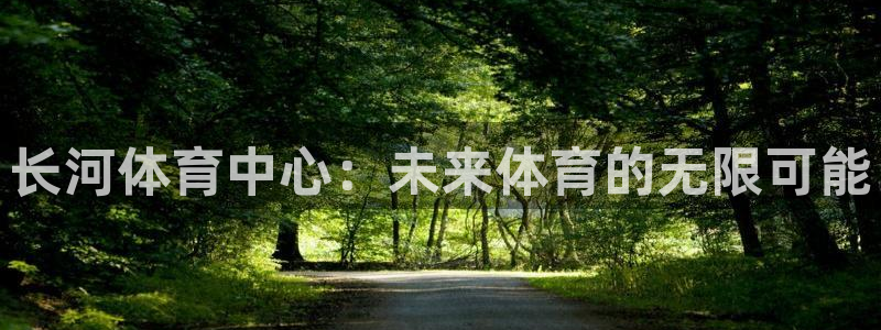 凯捷体育娱乐网站：长河体育中心：未来体育的无限可能