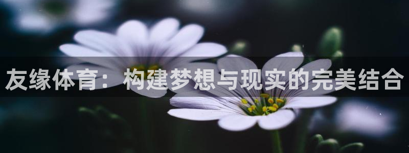 凯捷体育集团E.ON：友缘体育：构建梦想与现实的完美