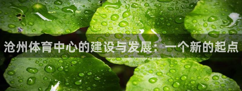 凯捷体育平台注册流程图：沧州体育中心的建设与发展：一