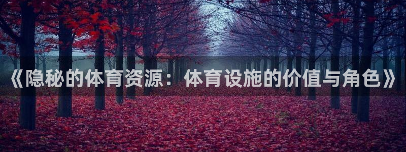 凯捷体育招商电话是多少：《隐秘的体育资源：体育设施的