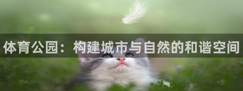 凯捷体育软件：体育公园：构建城市与自然的和谐空间