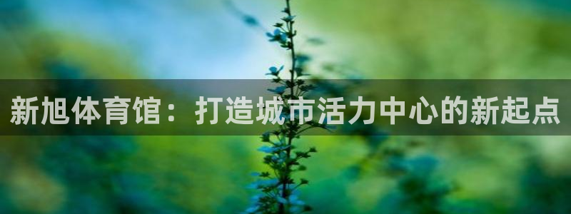 凯捷体育平台是正规平台吗安全吗：新旭体育馆：打造城市