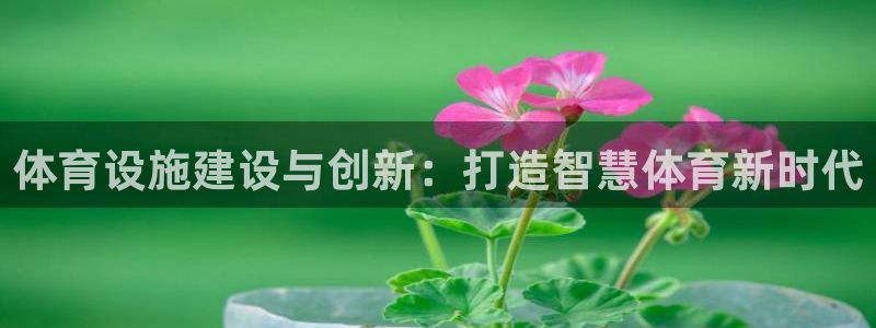 凯捷体育平台注册流程图：体育设施建设与创新：打造智慧