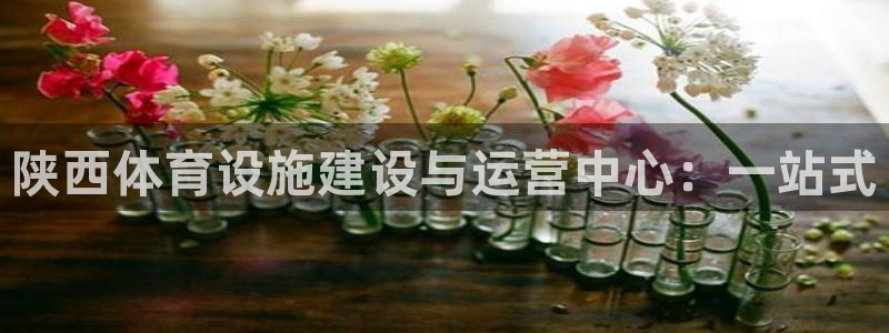 凯捷体育新能源：陕西体育设施建设与运营中心：一站式
