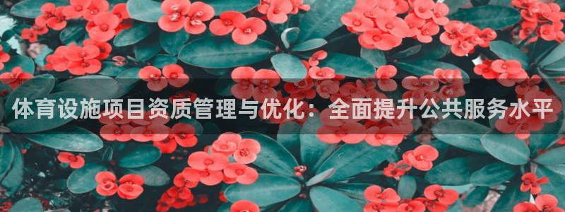 凯捷体育招商电话是多少号码：体育设施项目资质管理与优