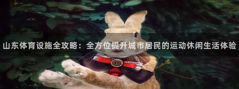 凯捷体育联系电话：山东体育设施全攻略：全方位提升城市