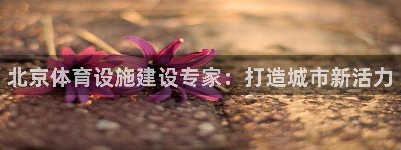 凯捷体育平台注册：北京体育设施建设专家：打造城市新活
