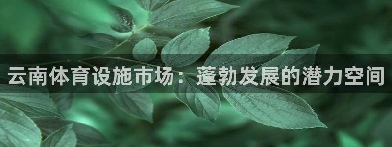 凯捷体育新能源：云南体育设施市场：蓬勃发展的潜力空间