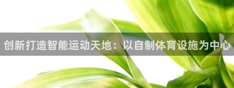 凯捷体育官方：创新打造智能运动天地：以自制体育设施为