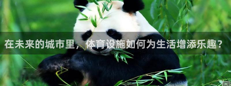 凯捷体育平台注册要钱吗是真的吗：在未来的城市里，体育
