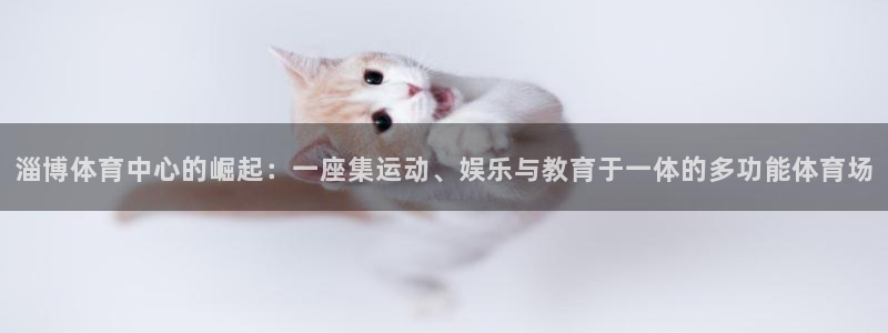 凯捷体育平台注册流程视频：淄博体育中心的崛起：一座集