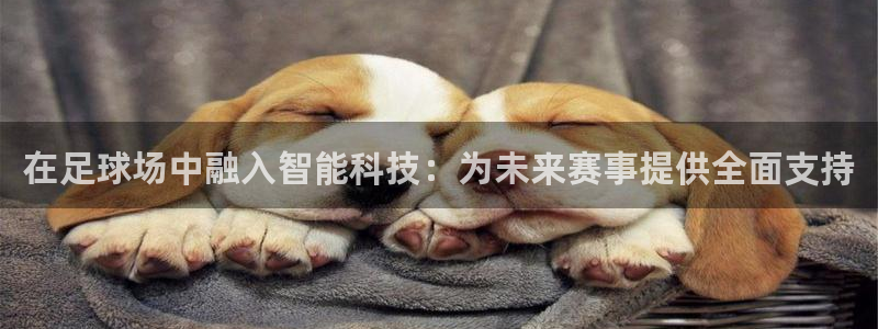 凯捷体育平台注册要钱吗安全吗：在足球场中融入智能科技