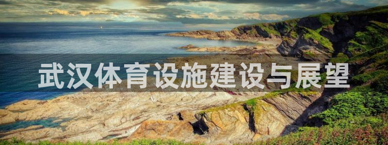 凯捷体育官方：武汉体育设施建设与展望