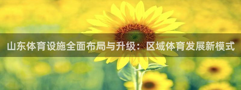 凯捷体育平台APP：山东体育设施全面布局与升级：区域