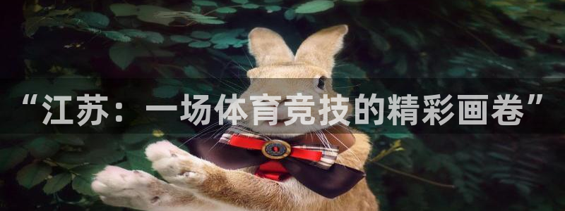 凯捷体育平台：“江苏：一场体育竞技的精彩画卷”