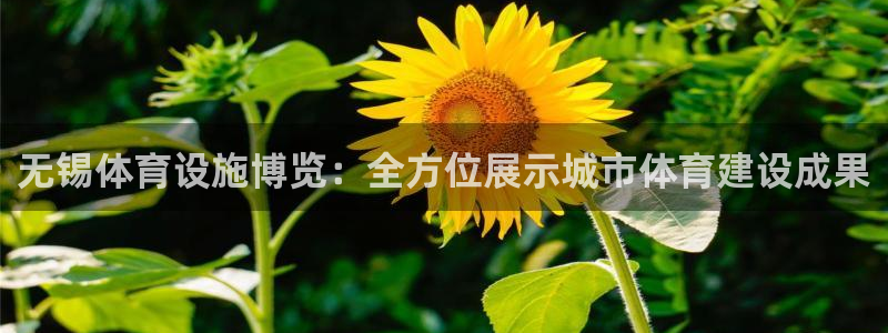 海南凯捷体育发展怎么样：无锡体育设施博览：全方位展示