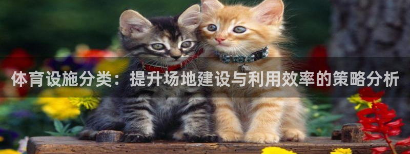 凯捷体育集团：体育设施分类：提升场地建设与利用效率的策略分析