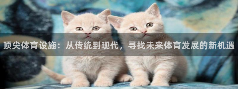 凯捷体育招商电话地址是多少：顶尖体育设施：从传统到现