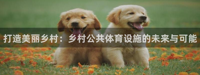 凯捷体育平台是正规平台吗知乎：打造美丽乡村：乡村公共体育设施
