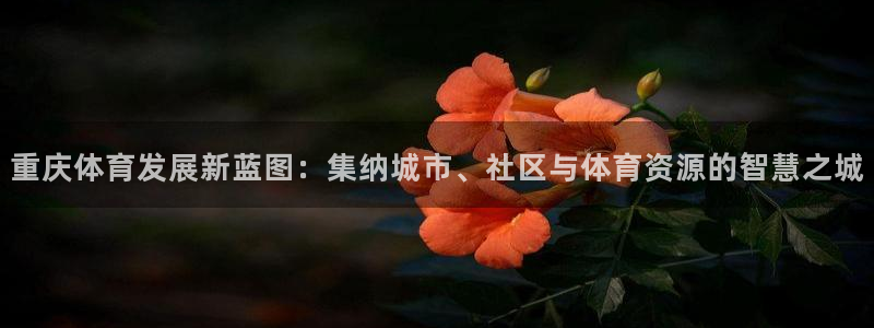 凯捷体育注册：重庆体育发展新蓝图：集纳城市、社区与体育资源的 