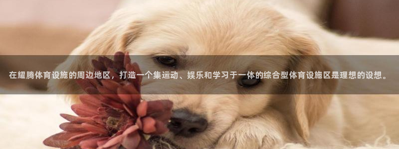 凯捷体育集团官网网址：在耀腾体育设施的周边地区，打造