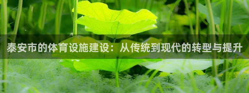 凯捷体育娱乐首页网站大全：泰安市的体育设施建设：从传