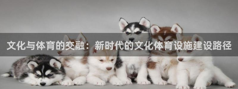 注册凯捷体育：文化与体育的交融：新时代的文化体育设施