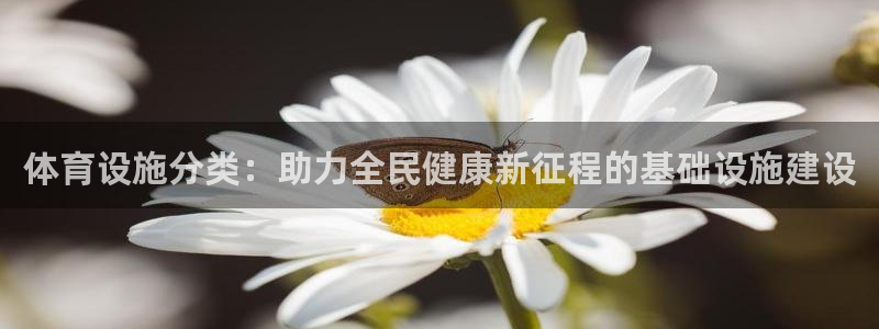 凯捷体育开户：体育设施分类：助力全民健康新征程的基础