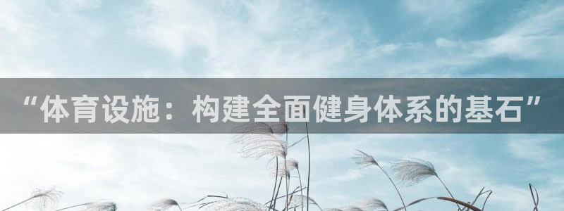 凯捷体育平台注册要钱吗：“体育设施：构建全面健身体系