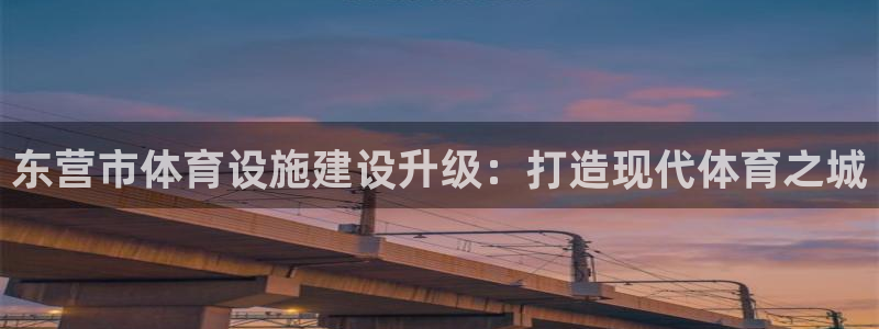 凯捷体育招商电话地址是多少：东营市体育设施建设升级：