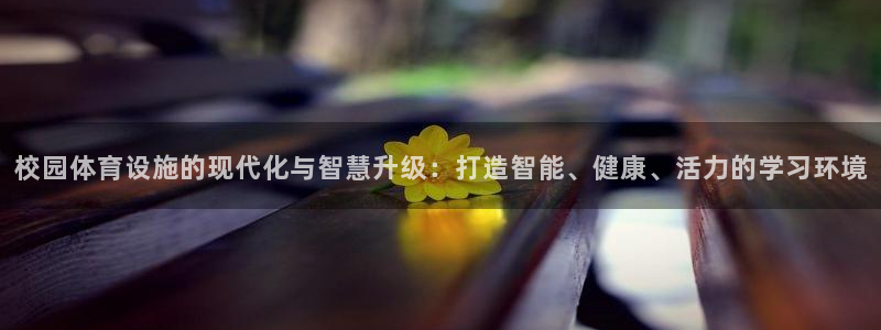 凯捷体育五金厂：校园体育设施的现代化与智慧升级：打造