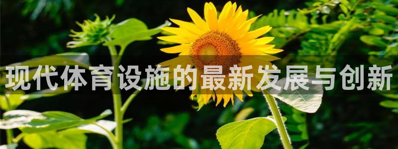 海南凯捷体育发展怎么样：现代体育设施的最新发展与创新