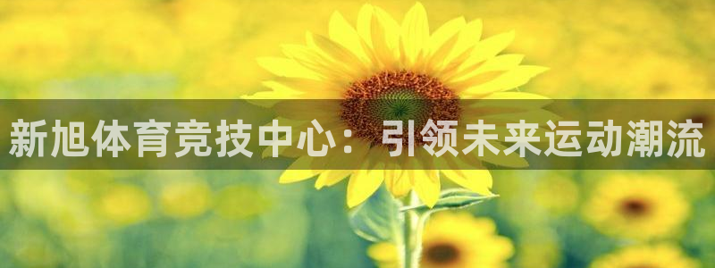 凯捷体育集团官网首页网址：新旭体育竞技中心：引领未来