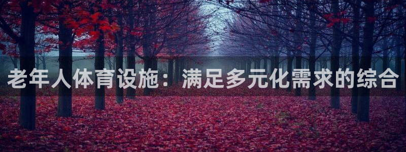 凯捷体育娱乐首页官网下载：老年人体育设施：满足多元化