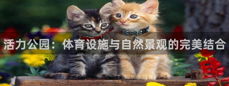 凯捷体育开户：活力公园：体育设施与自然景观的完美结合