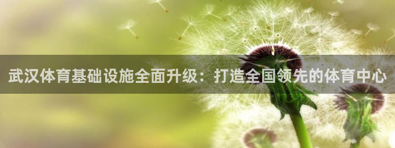 凯捷体育平台假的吗是真的吗吗：武汉体育基础设施全面升