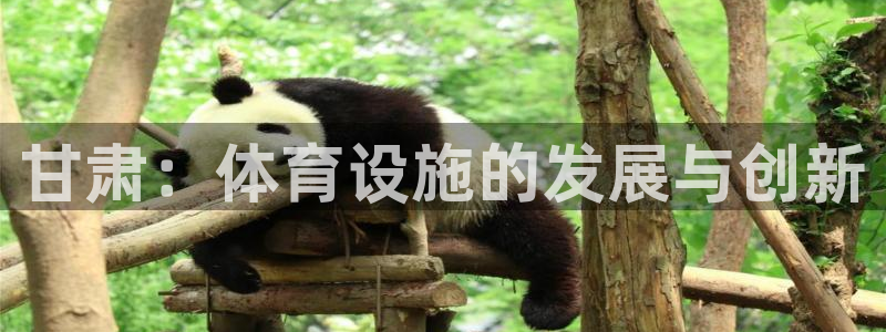 德国凯捷体育集团：甘肃：体育设施的发展与创新