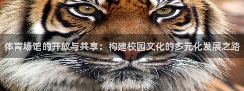 凯捷体育集团官网首页网址：体育场馆的开放与共享：构建
