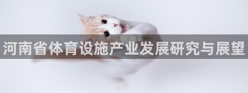 凯捷体育集团E.ON：河南省体育设施产业发展研究与展
