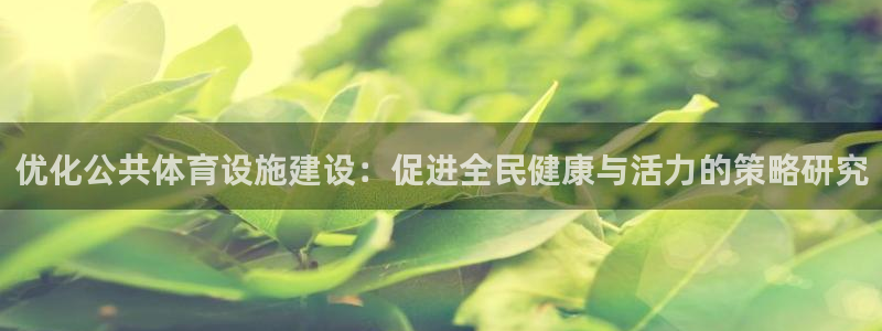 凯捷体育平台注册流程视频：优化公共体育设施建设：促进