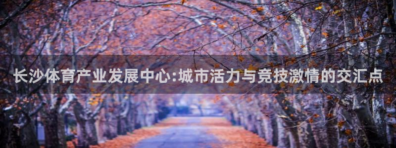 凯捷体育招商电话地址：长沙体育产业发展中心:城市活力