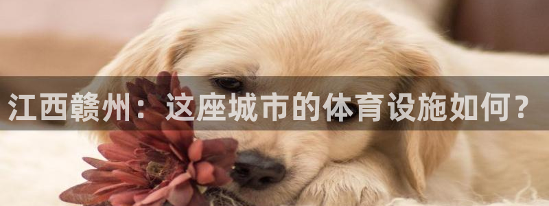 凯捷体育招商电话是多少：江西赣州：这座城市的体育设施
